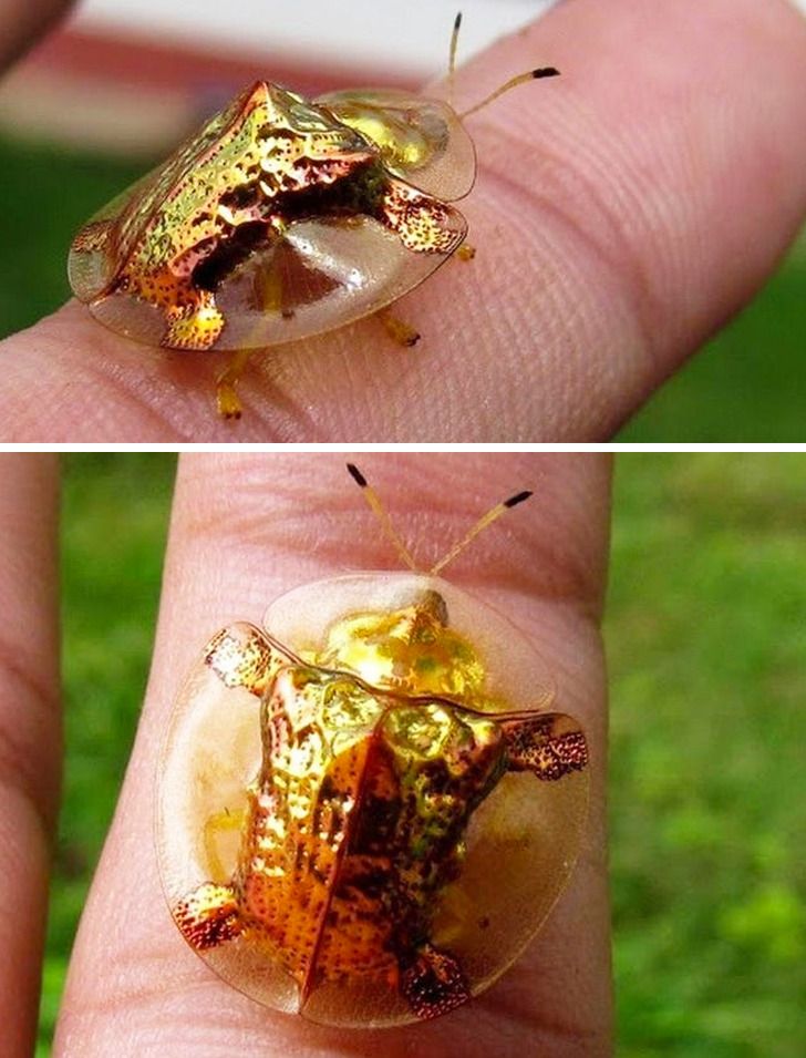 0f0649578ab19575d41f914d9a