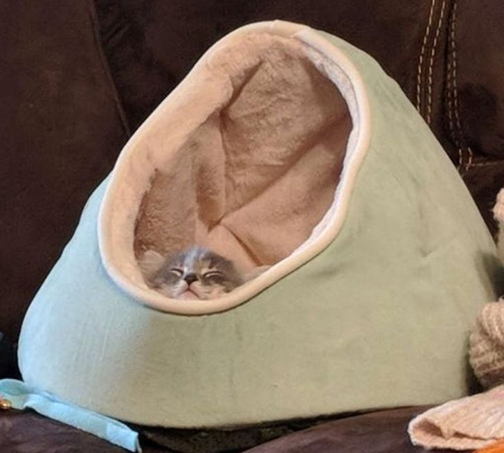 0f0ca95d99b6848e51fd2ea8c9