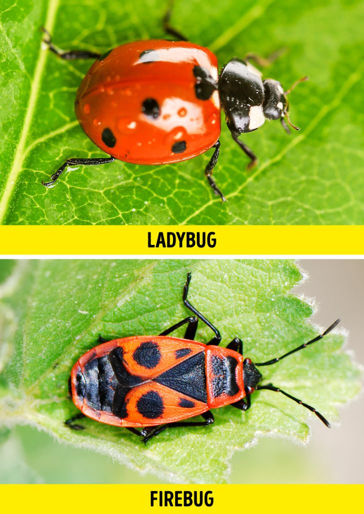 0f10e55c738c831ca42659725b