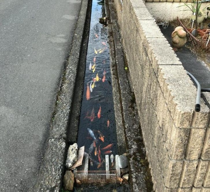 0f12a553ee9cf4a8bd6536480c