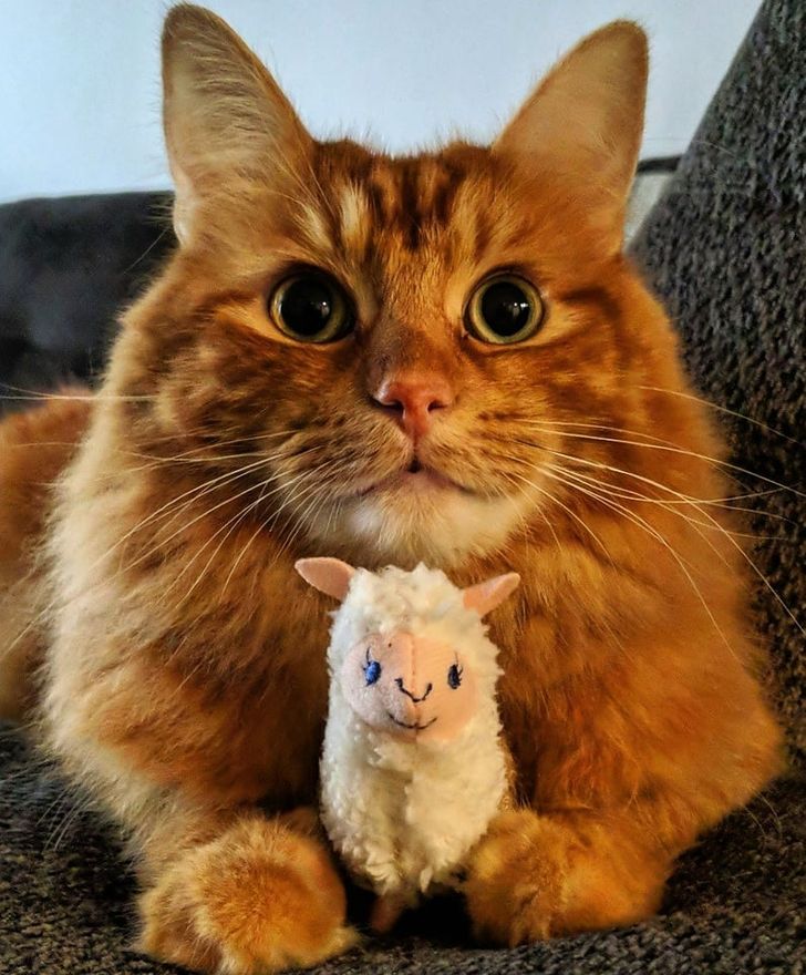 0f180f5ca2b9cc6058693c3aa7