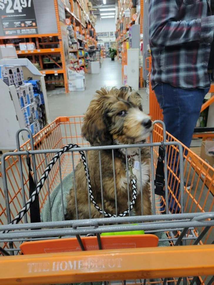 0f1ca5557cabdfc6ec980860ea 0f1ca5557cabdfc6ec980860ea