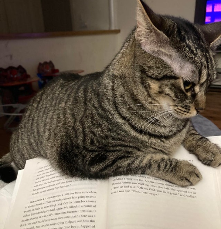 0f2b575bc29abbfb836fc3aabc 0f2b575bc29abbfb836fc3aabc