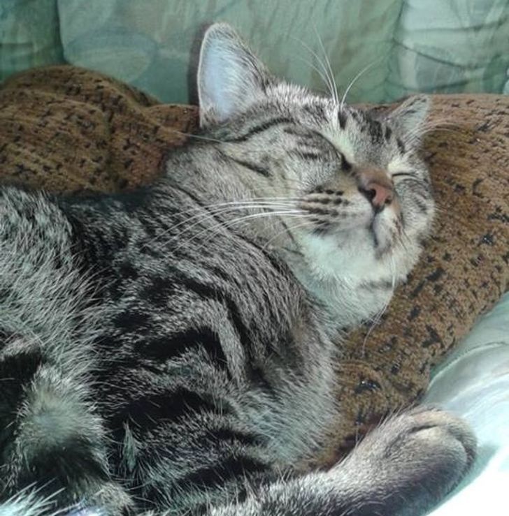 0f34715bdc9d72b73416e527e4