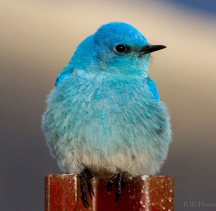 0f35c8587a9eb978c568ce89ea