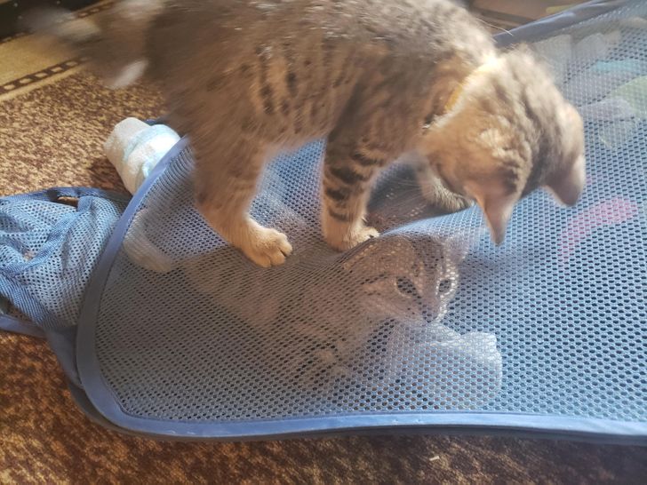 0f367354ef8d6e46b082989f3d