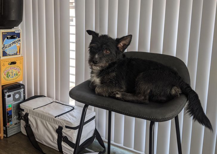 0f3884569ca28f120ae8e50c50