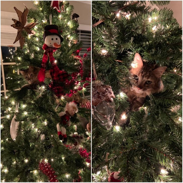 0f442a541e9eae8b549348aea2