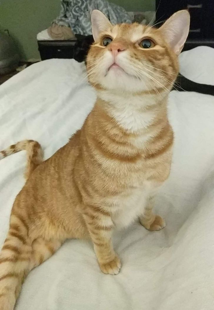 0f44c45e3fb655d7f873ea050f