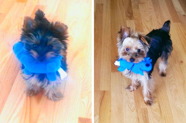 0f4fd25a379e0f212d60ff855c