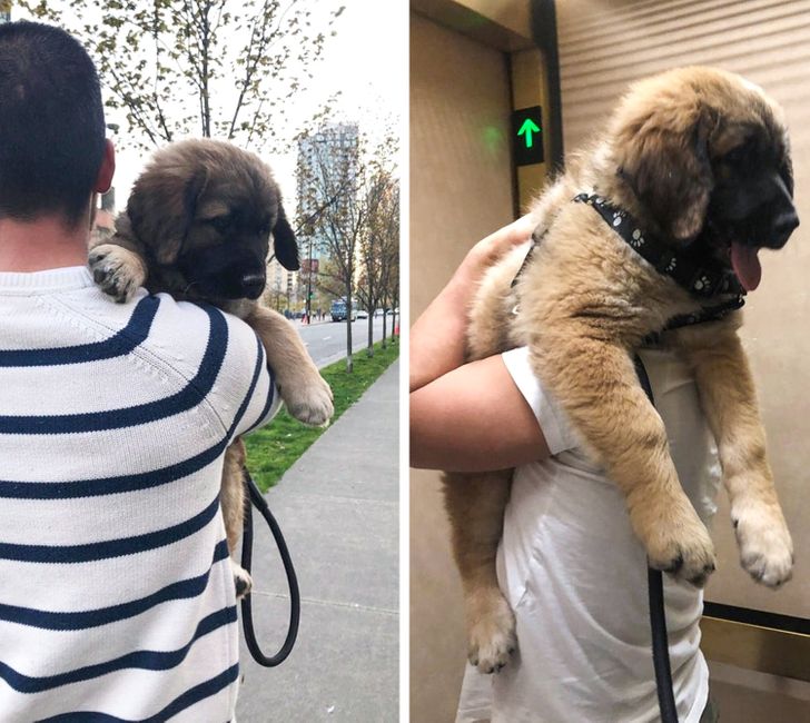 0f518654a4bdf62316fc892c00