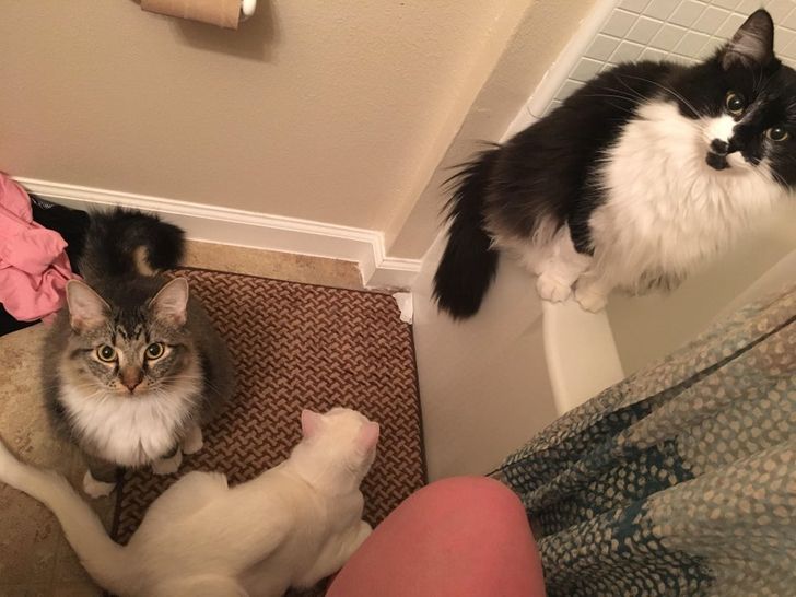 0f5df85d6f8c0e44746be839a5