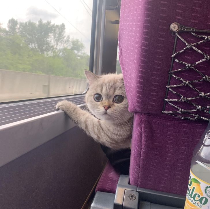 0f6274528bb7bd754209b7a0aa