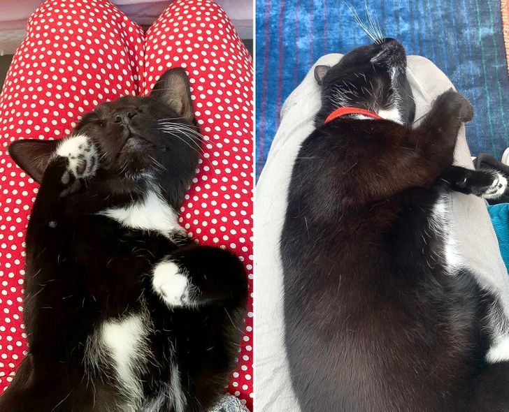 0f6a975cdb84e50c6ed5757b78