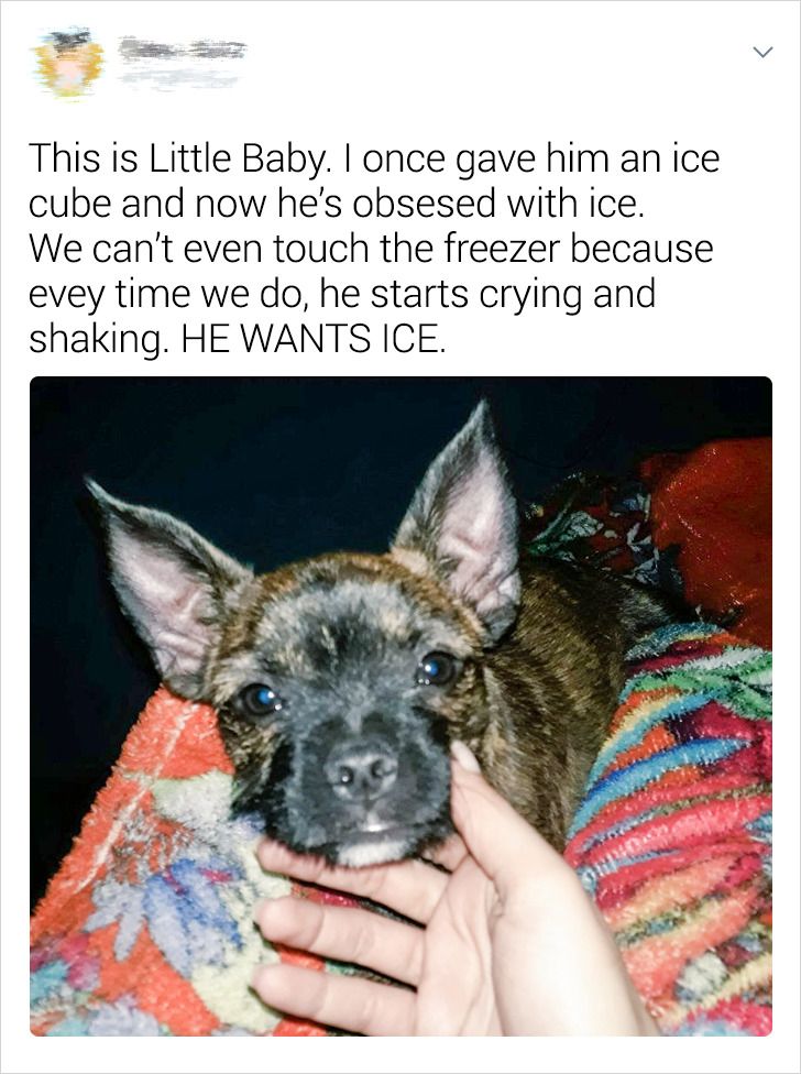 0f6e5350aa87fab44b03138023