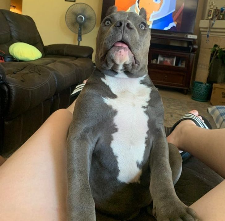 0f73325d5b8effa96778e3437e