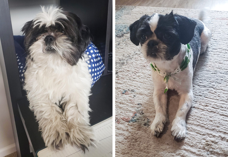 0f752054329e05702ce5190423