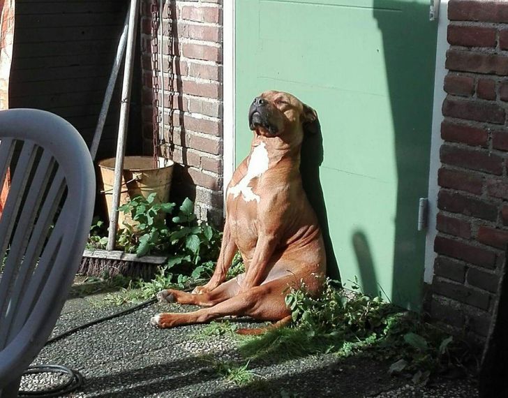 0f75955f29986c085185723a3a