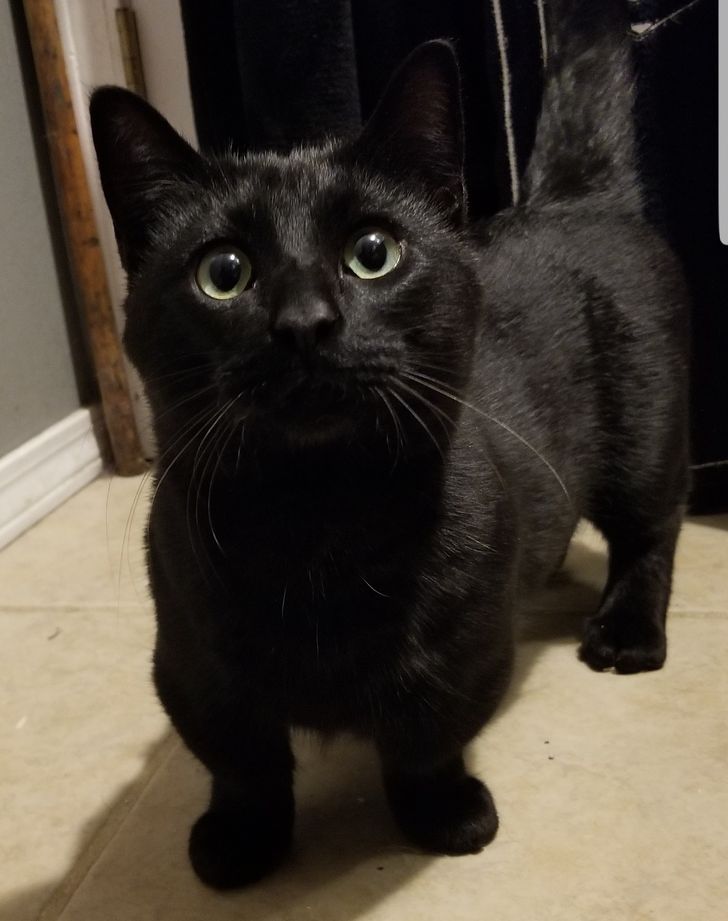 0f776a509487bbf300ed44e57c