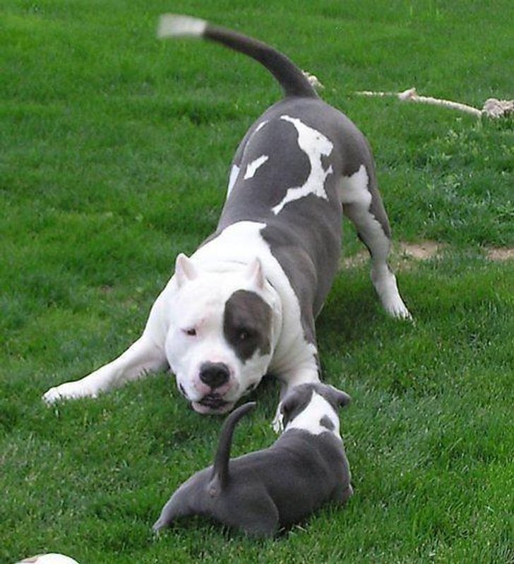 0f796e5cb8bb6193e78b4c967d