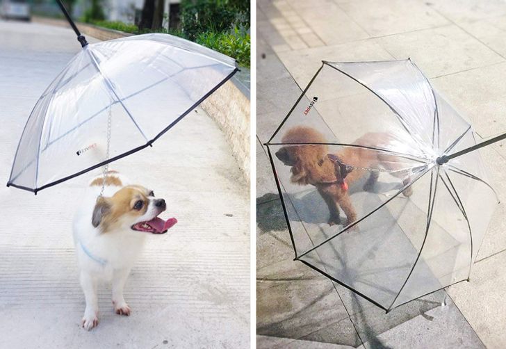 0f7bdc545a8ef5160140ae5903