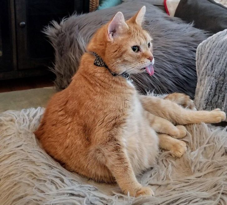 0f7ce7545a9053624ac5cbb406