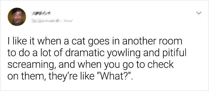 0f7fcc5512b2f37a5b7c99d845