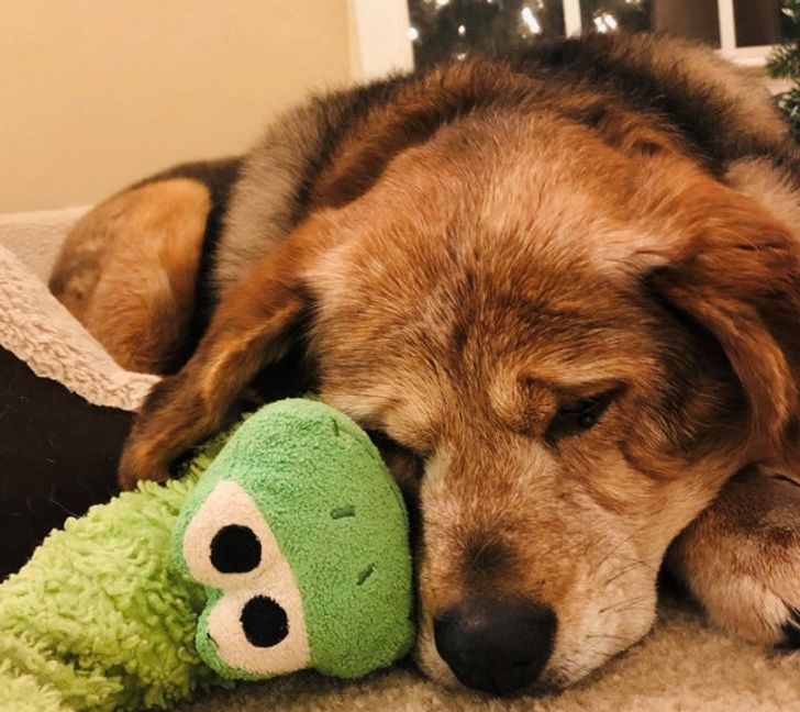 0f8ae65b1aa98f0f483848b65e