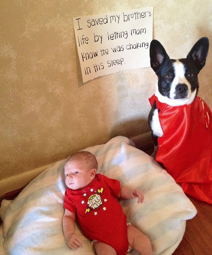 0f8e4154aeb7bee834e34060a9