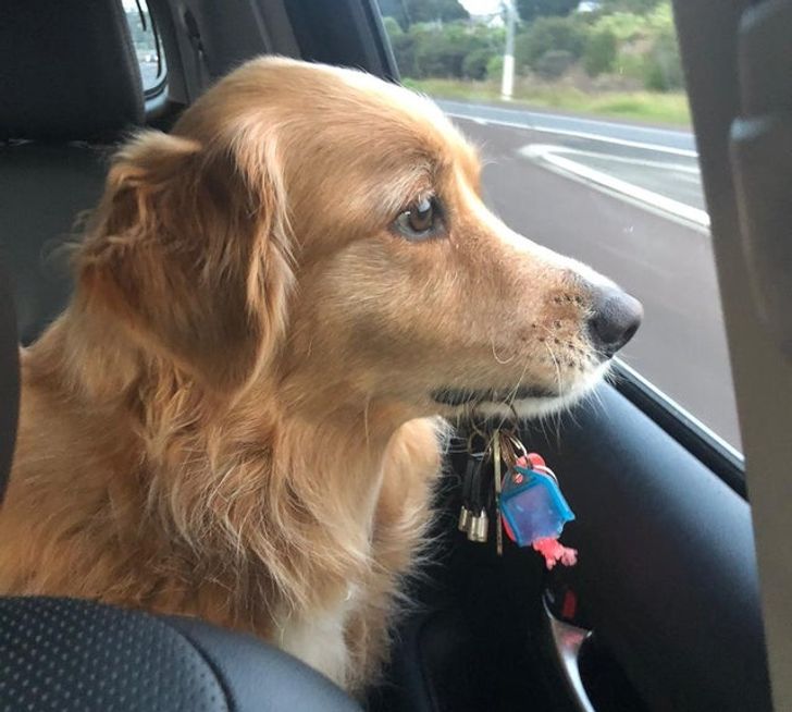 0f94345b6a9fb2e3ffd56b3c70