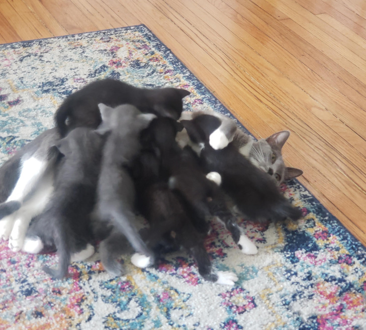 0f94ac54638ae6ee75e2890b51 0f94ac54638ae6ee75e2890b51