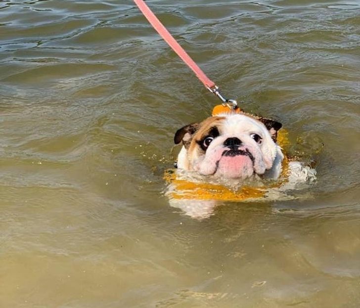 0f94bc55a483a57fc8629c06a8