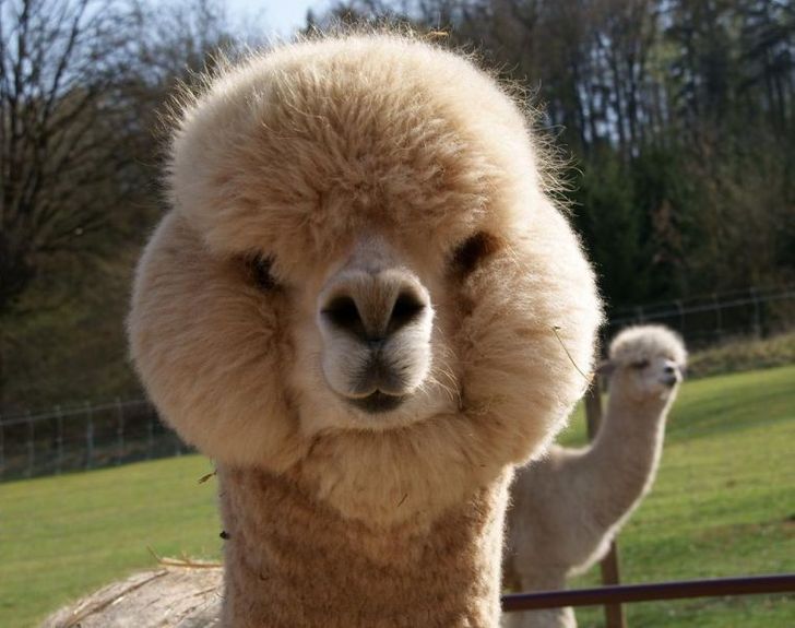 0f96775453ae37e2173ea842d5