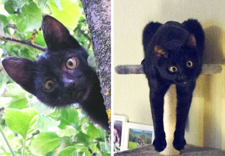 0f9afb56d58f9123cba5e47d64