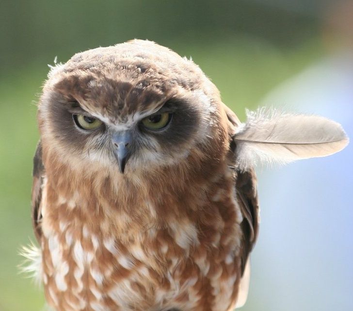 0f9d66587ba2feb97547ba5cc4