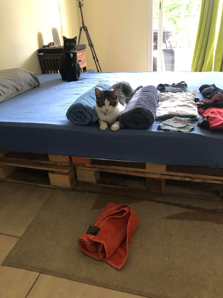 0fa6b95a738c996021fe9d4c9c