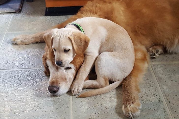 0faa135a7c8a822d70ac6fd34f