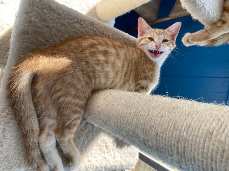 0fae5d546d82d154e0f3be3462