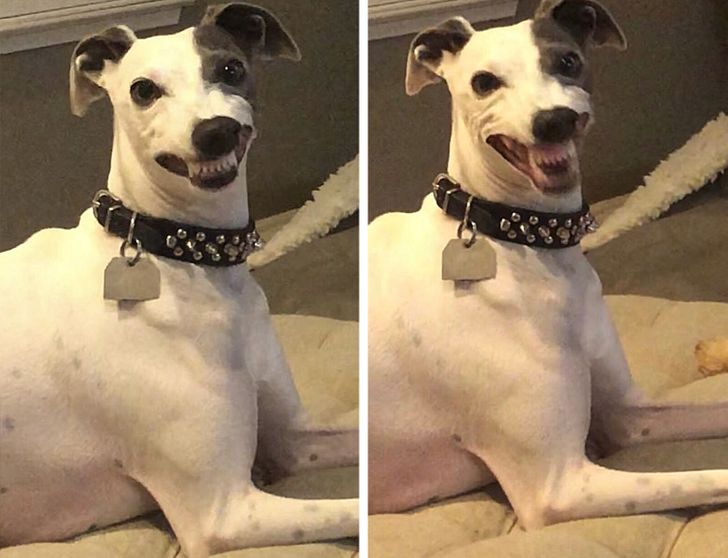 0fb5b05393b5d1b7a0b5d8a0da