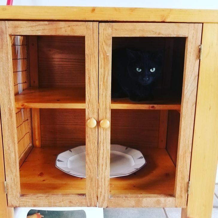 0fc4df558bb751e1e113e7fa3f