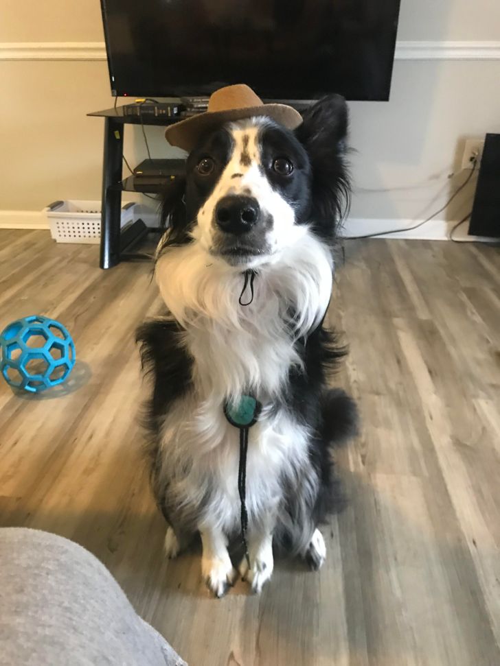 0fc97c5ba283511703212ffaae