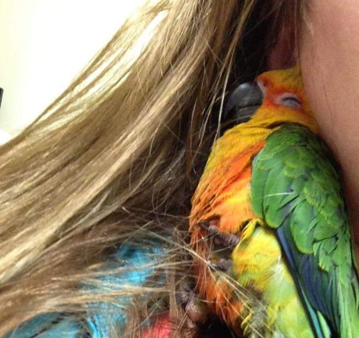 0fcfb3553aa4133b6c13441f9d 0fcfb3553aa4133b6c13441f9d