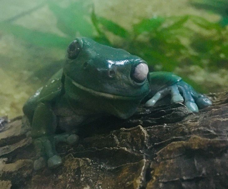 0fcfb85507848a8f1110242786