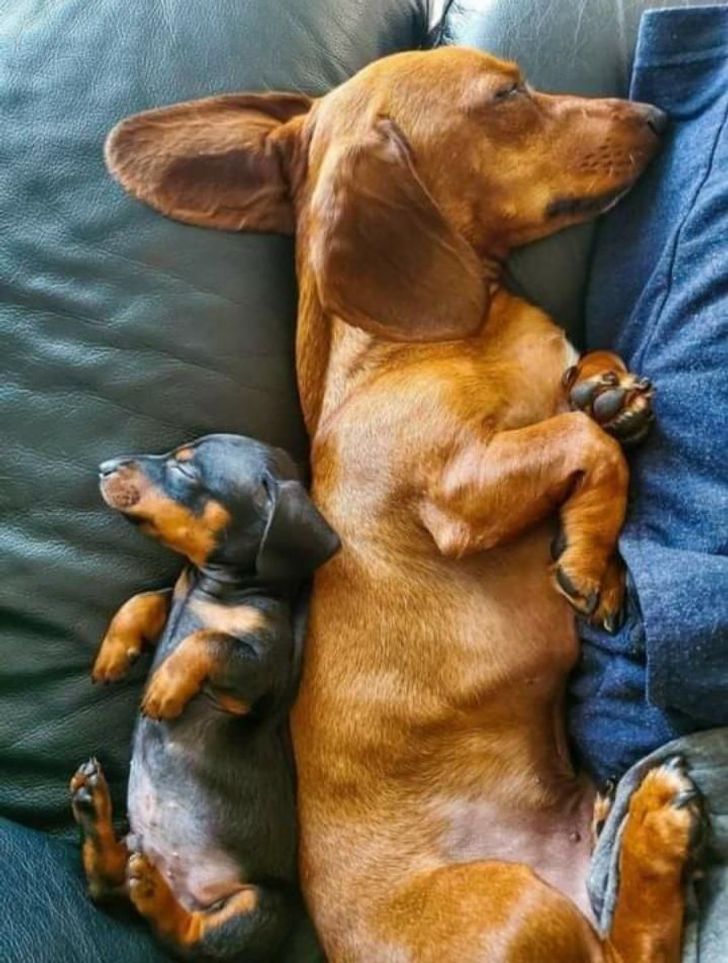 0fd9405ef49d9e98c43595b5ca