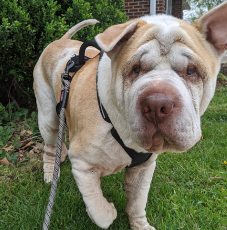 0fde49580cb1827d5f5c219e96 0fde49580cb1827d5f5c219e96