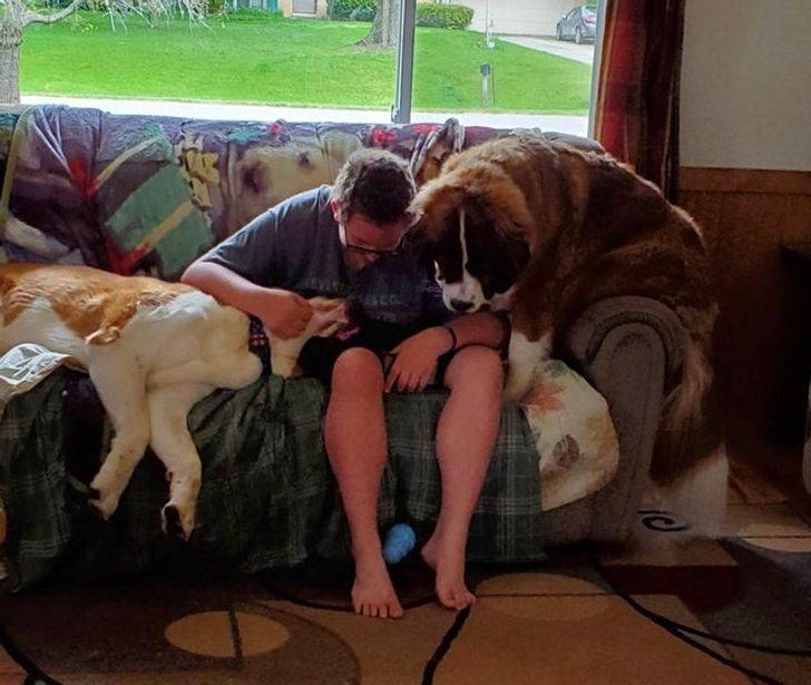 0fe101550187597d18789fe6fa