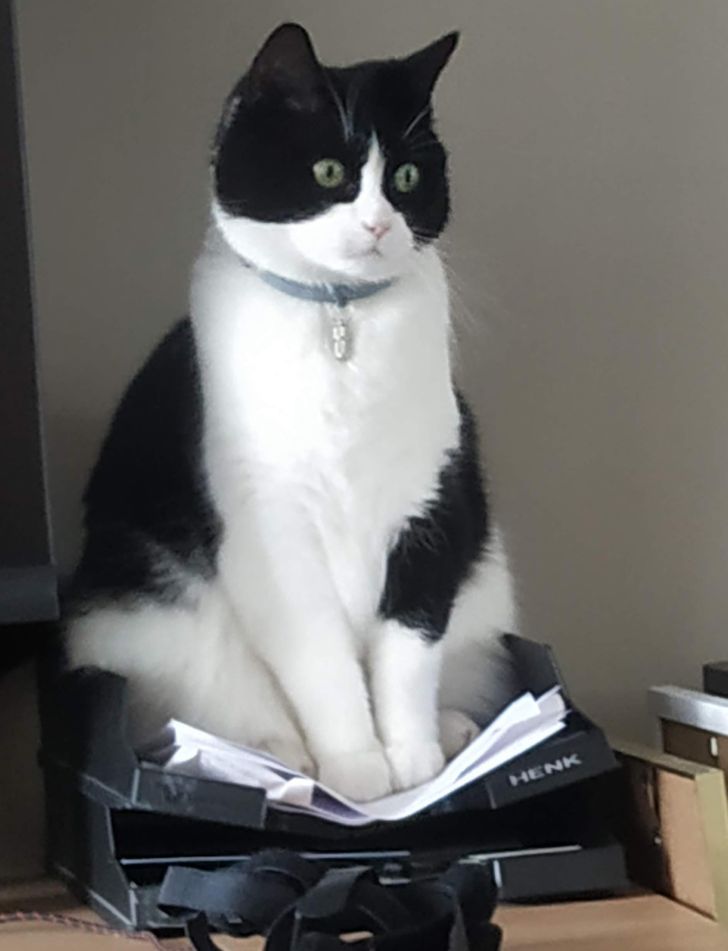 0fe6da5e4d9f6ccb922d156e7f