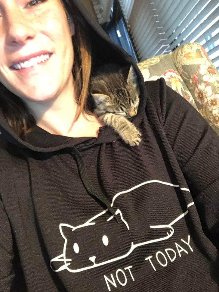 0fedc35e119a1e852db46bc3d6