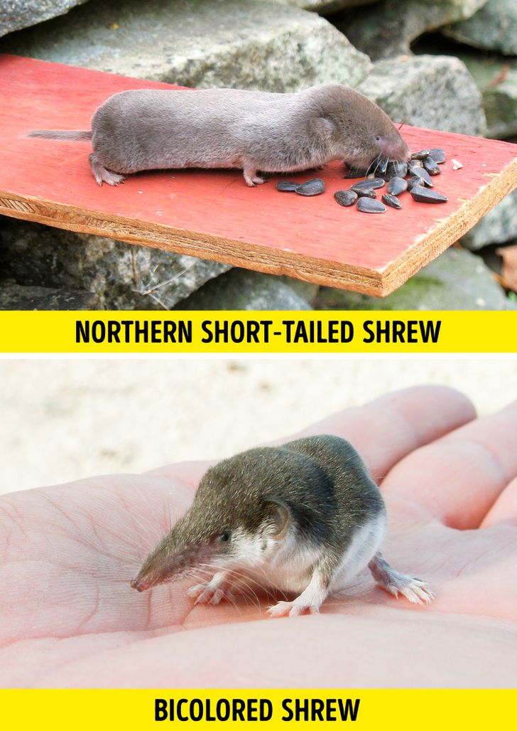 0fee1b518dafd761cbc9a23965