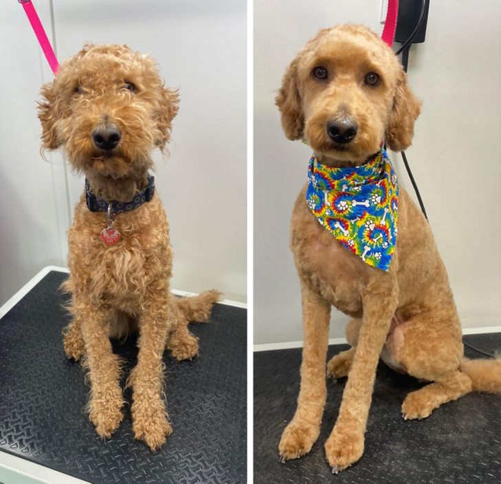 0ff1955fb6872a32a806019014 0ff1955fb6872a32a806019014